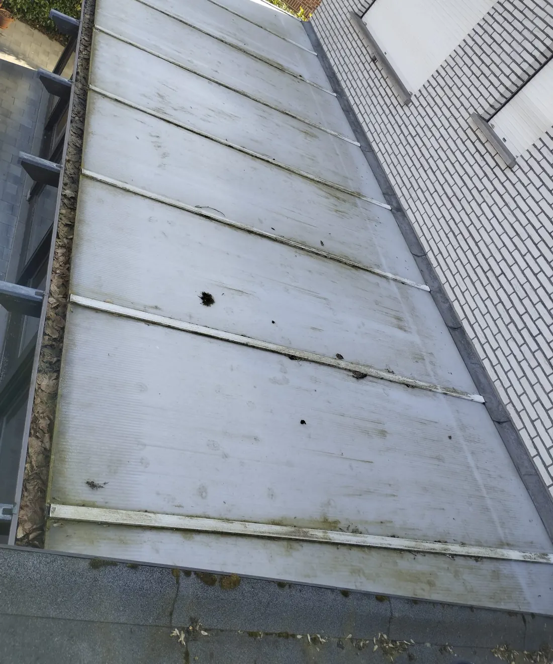 Voor: de overkapping zit vol groene aanslag en vlekken